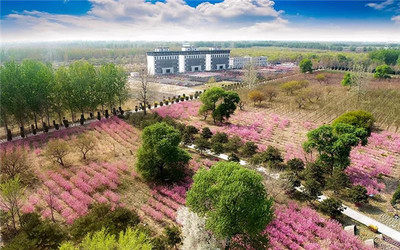 萬桐園中標回遷公墓項目,擬出資2370萬元